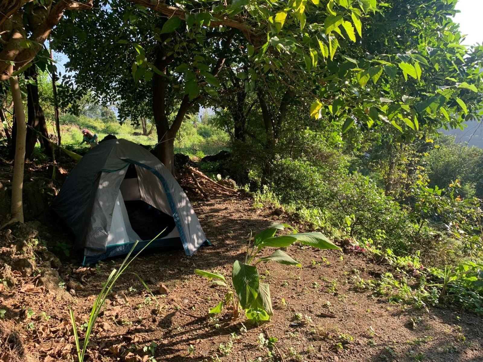 Clan Boho Hostel Rishīkesh Εξωτερικό φωτογραφία